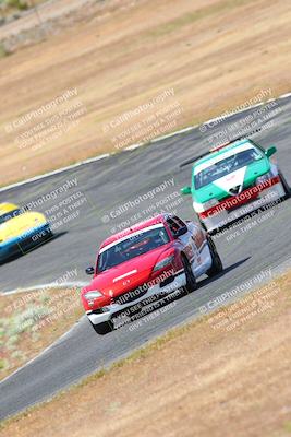 media/May-06-2023-Lucky Dog Racing (Sat) [[8f2256f436]]/Turn 2 10a/
